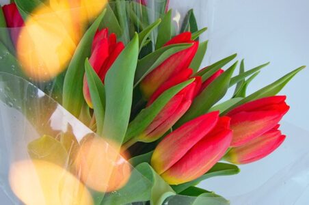 Jak pisać o kobietach w literaturze – Dzień Kobiet