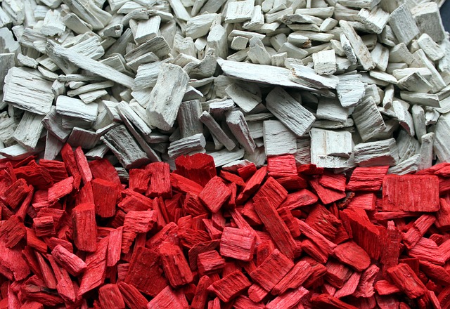 Jak powtarzać lektury przed maturą