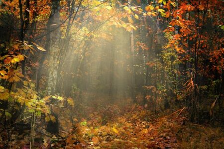 Motyw przemijania – interpretacja literacka