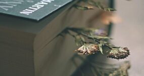 Jak pisać o symbolach i alegoriach w poezji