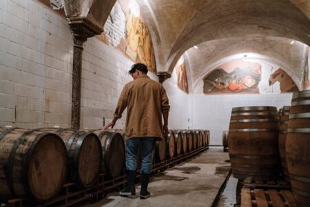 Fermentacja – procesy biochemiczne