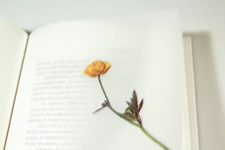 Jak interpretować język symboliczny w poezji