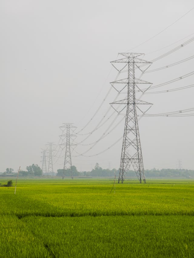Pole elektryczne – linie sił i potencjał